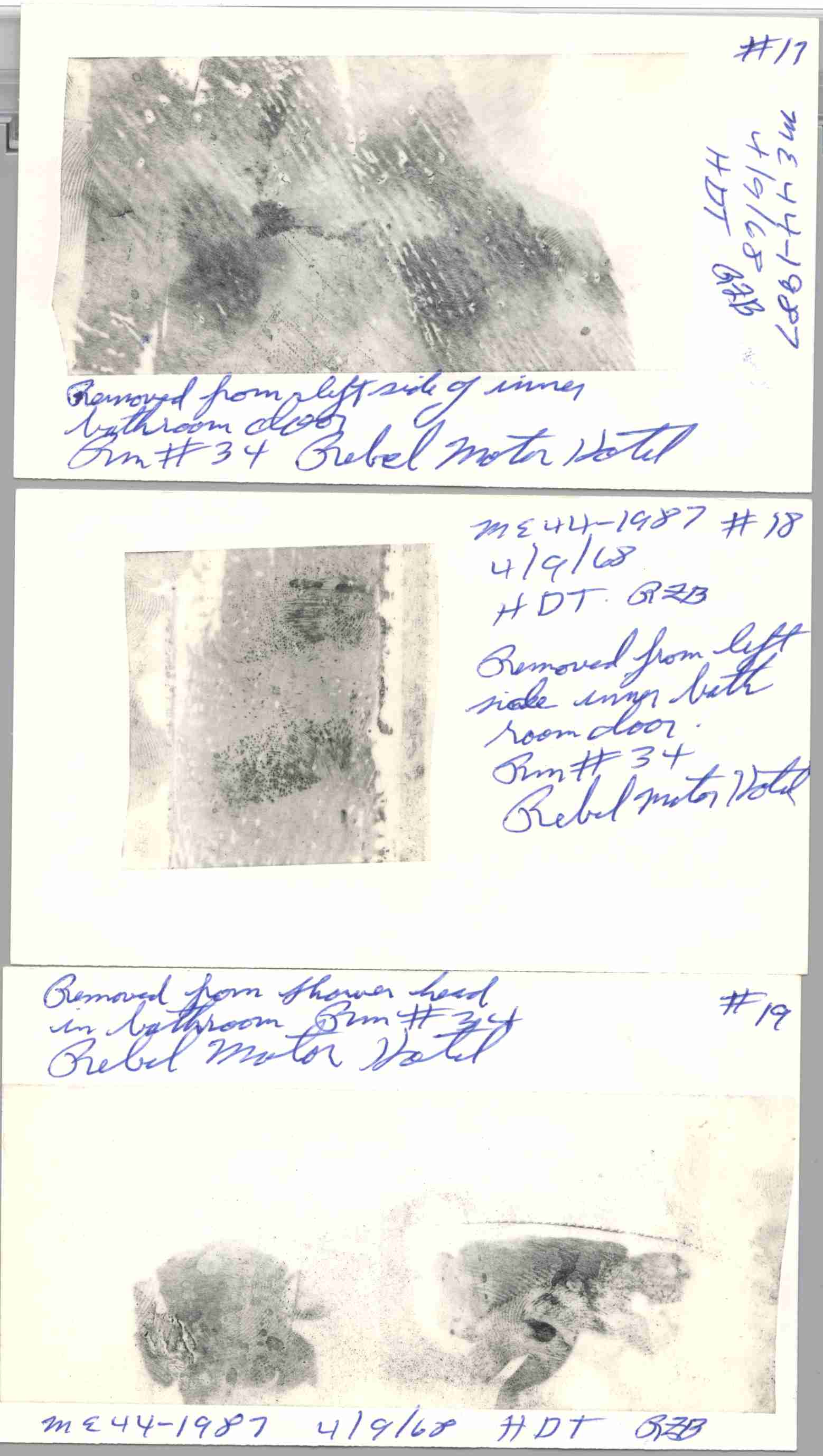 rebel motor hotel fingerprints 5.jpg